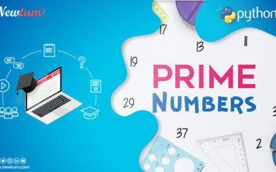 Python Program to Check Prime Number