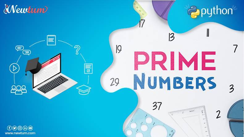Python Program to Check Prime Number