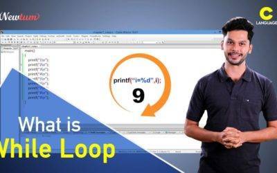 While Loop in C