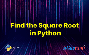 Read more about the article Find the Square Root in Python