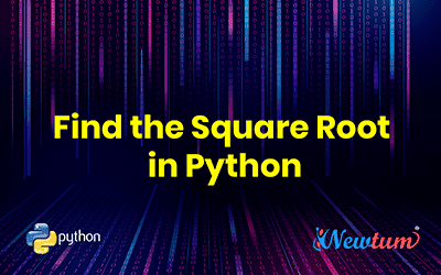 Find the Square Root in Python