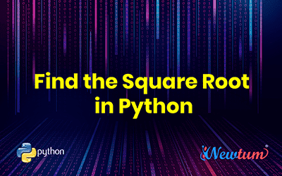 Find the Square Root in Python