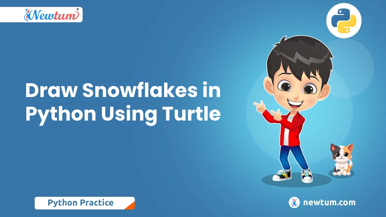 Draw Snowflakes In Python Using Turtle | Newtum