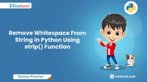Read more about the article Remove Whitespace From String in Python Using strip() Function
