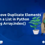 Remove Duplicates from List Python Using Index