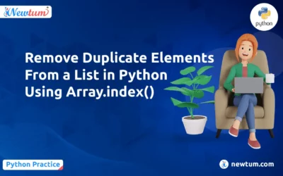 Remove Duplicate Elements From a List in Python Using Array.index()