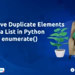 Remove Duplicates from List Python Using enumerate