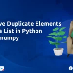 Remove Duplicate Elements From a List in Python Using numpy