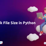 Check the File Size in Python