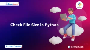 Read more about the article Check the File Size in Python