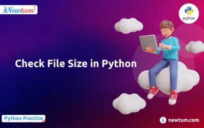 Check the File Size in Python