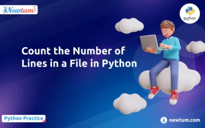 Count the Number of Lines in a File in Python
