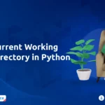 Current Working Directory in Python