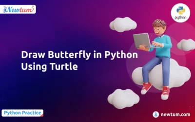 Draw Butterfly in Python Using Turtle