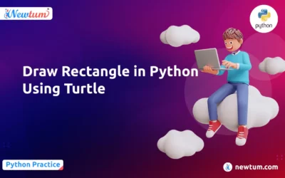 Draw Rectangle in Python Using Turtle
