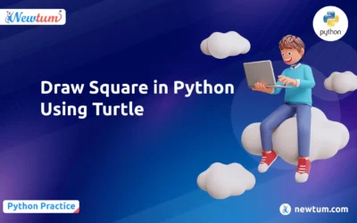 Draw Square in Python Using Turtle