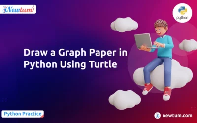 Draw a Graph Paper in Python Using Turtle