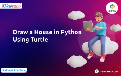 Draw a House in Python Using Turtle