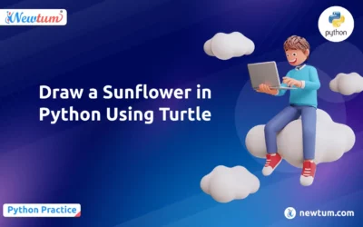 Draw a Sunflower in Python Using Turtle