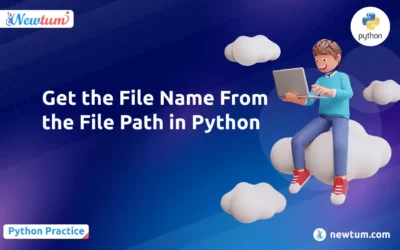 Get the File Name From the File Path in Python