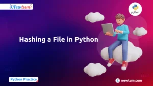 Read more about the article Hashing a File in Python