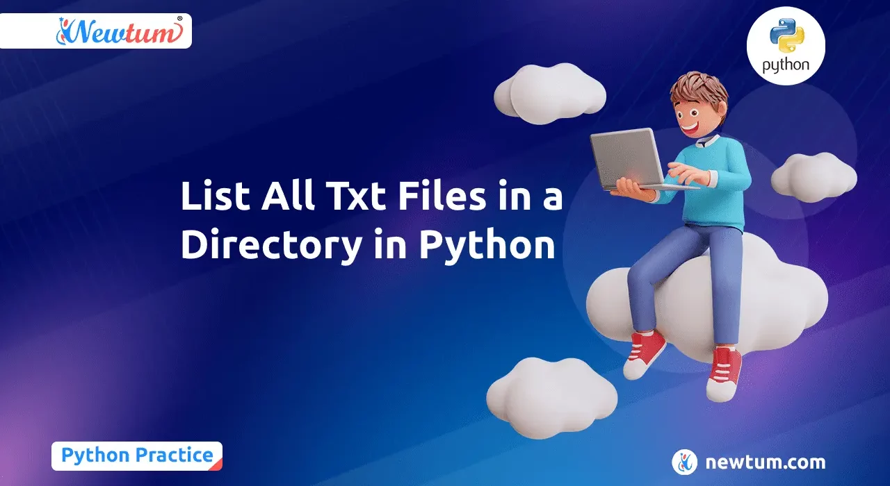 List All Txt Files in a Directory in Python