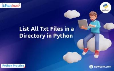 List All Txt Files in a Directory in Python