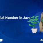 Special Number in Java