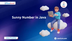 Read more about the article Sunny Number in Java