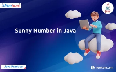 Sunny Number in Java