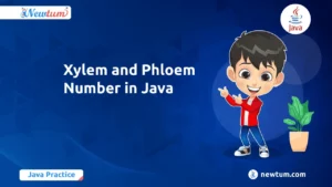 Read more about the article Xylem and Phloem Number in Java