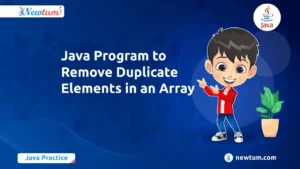 Read more about the article Java Program to Remove Duplicate Elements in an Array