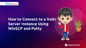 Read more about the article How to Connect to a Vultr Server Instance Using WinSCP and Putty