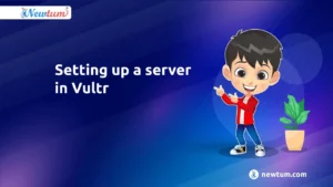 Read more about the article Setting up a server in Vultr 