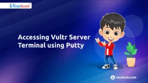 Read more about the article Accessing Vultr Server Terminal using Putty