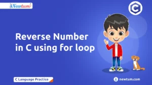 Read more about the article Reverse number in C using for loop