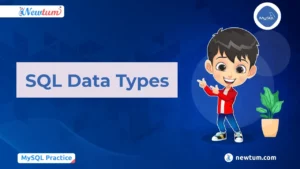 Read more about the article SQL Data Types