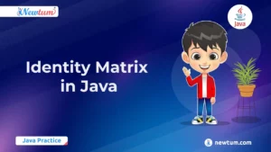 Read more about the article Identity Matrix in Java