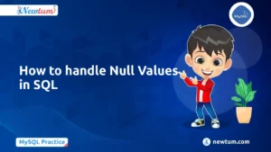 Read more about the article How to Handle Null Values in SQL