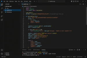 Python API Project Tutorial: Build a Weather App